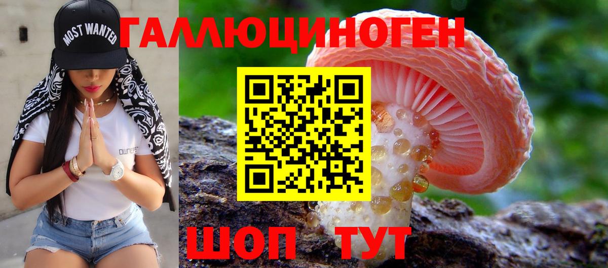 Новокузнецк  Псилоцибиновые грибы GOLDEN TEACHER  Псилоцибиновые грибы Magic Shrooms  Вход с VPN 